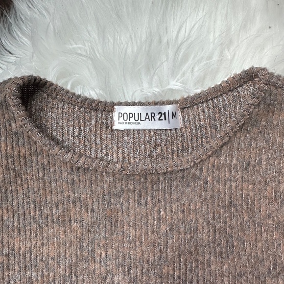 Forever 21 • Cozy Ribbed Crop Sweater Tee • Mocha • Medium - Picture 2 of 5